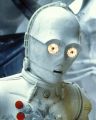 2026年5月10日 (日) 14:41時点における版のサムネイル