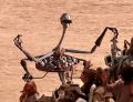 2026年5月10日 (日) 14:41時点における版のサムネイル