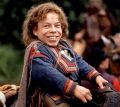2026年5月10日 (日) 14:41時点における版のサムネイル