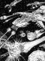 2026年5月10日 (日) 14:42時点における版のサムネイル