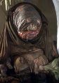 2026年5月10日 (日) 14:42時点における版のサムネイル