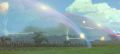 2026年5月10日 (日) 14:41時点における版のサムネイル