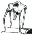 2026年5月10日 (日) 14:41時点における版のサムネイル