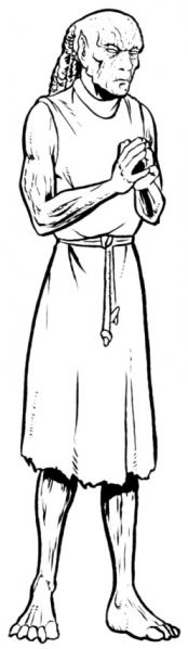 ファイル:Hkig monk.jpg