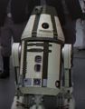 2026年5月10日 (日) 14:41時点における版のサムネイル