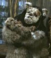 2026年5月10日 (日) 14:41時点における版のサムネイル