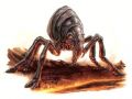 2026年5月10日 (日) 14:43時点における版のサムネイル