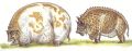 2026年5月10日 (日) 14:42時点における版のサムネイル
