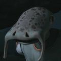 2026年5月10日 (日) 14:42時点における版のサムネイル