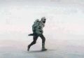 2026年5月10日 (日) 14:43時点における版のサムネイル