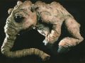 2026年5月10日 (日) 14:44時点における版のサムネイル