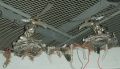 2026年5月10日 (日) 14:44時点における版のサムネイル