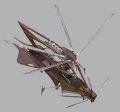 2026年5月10日 (日) 14:41時点における版のサムネイル