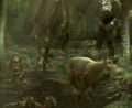 2026年5月10日 (日) 14:44時点における版のサムネイル