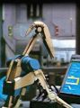 2026年5月10日 (日) 14:44時点における版のサムネイル