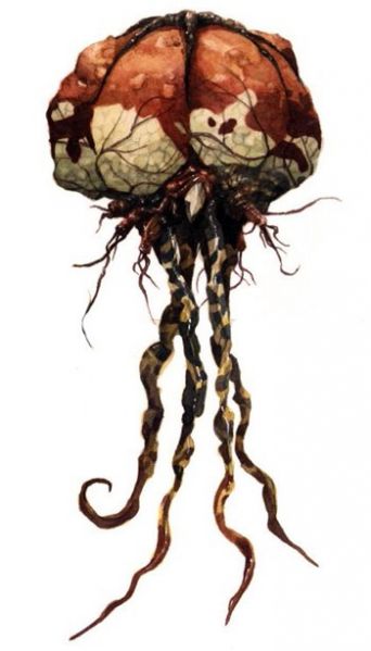 ファイル:Celegian.jpg