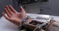 2026年5月10日 (日) 14:44時点における版のサムネイル