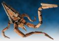 2026年5月10日 (日) 14:42時点における版のサムネイル