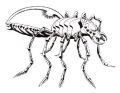 2026年5月10日 (日) 14:42時点における版のサムネイル