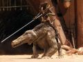 2026年5月10日 (日) 14:41時点における版のサムネイル