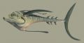 2026年5月10日 (日) 14:43時点における版のサムネイル
