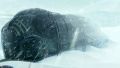 2026年5月10日 (日) 14:43時点における版のサムネイル