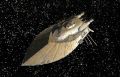 2026年5月10日 (日) 14:43時点における版のサムネイル