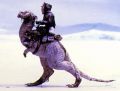 2026年5月10日 (日) 14:45時点における版のサムネイル